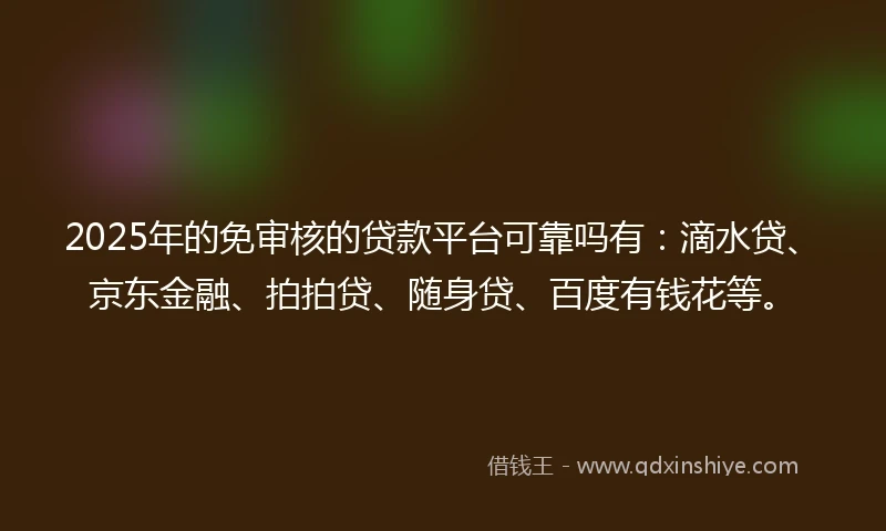 2025年的免审核的贷款平台可靠吗有：滴水贷、京东金融、拍拍贷、随身贷、百度有钱花等。
