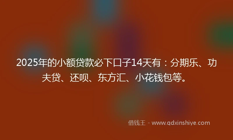 2025年的小额贷款必下口子14天有：分期乐、功夫贷、还呗、东方汇、小花钱包等。