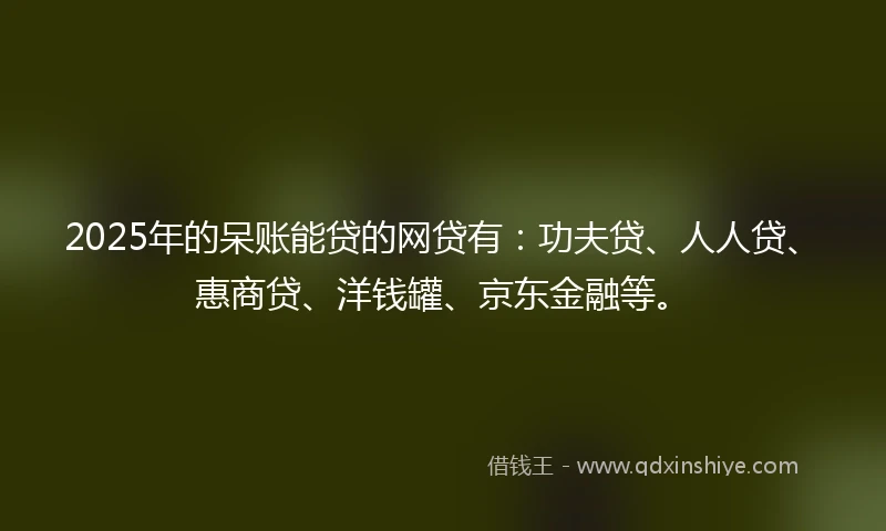 2025年的呆账能贷的网贷有：功夫贷、人人贷、惠商贷、洋钱罐、京东金融等。
