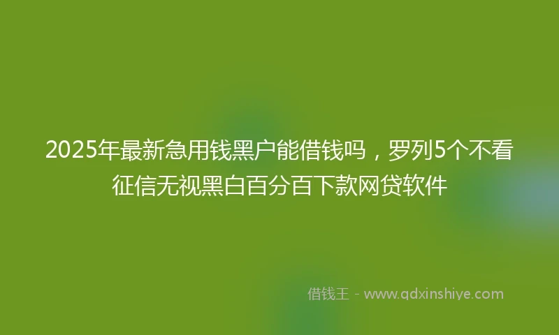 2025年最新急用钱黑户能借钱吗，罗列5个不看征信无视黑白百分百下款网贷软件