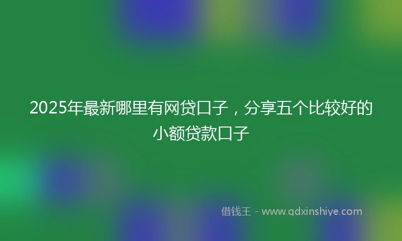 2025年最新哪里有网贷口子，分享五个比较好的小额贷款口子