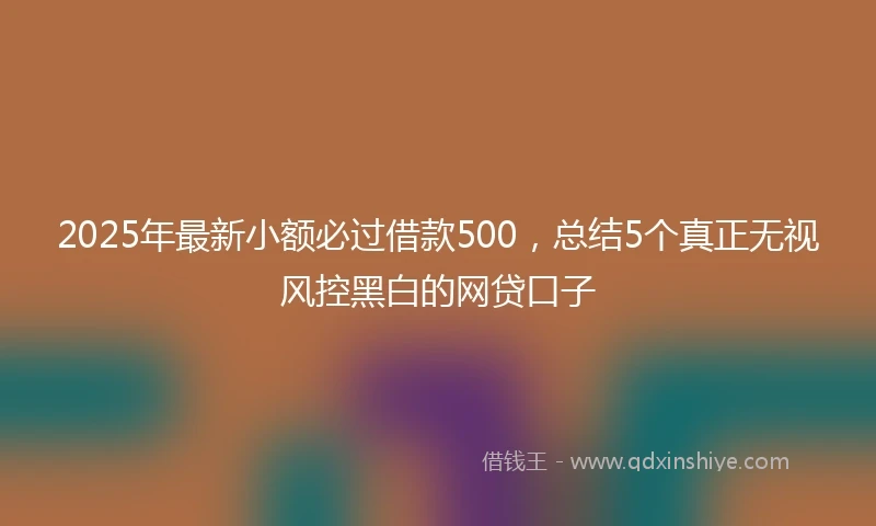 2025年最新小额必过借款500，总结5个真正无视风控黑白的网贷口子
