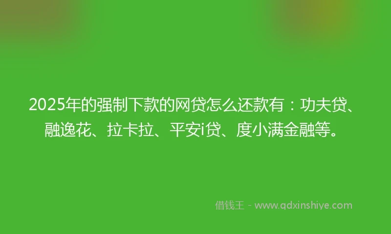 2025年的强制下款的网贷怎么还款有：功夫贷、融逸花、拉卡拉、平安i贷、度小满金融等。