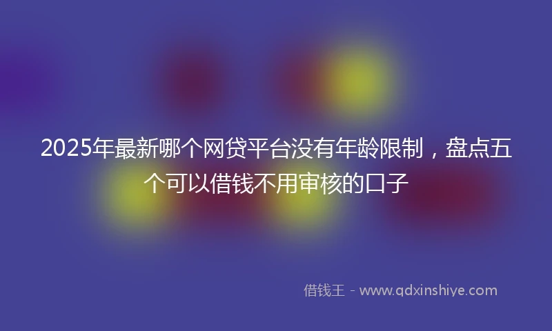 2025年最新哪个网贷平台没有年龄限制，盘点五个可以借钱不用审核的口子