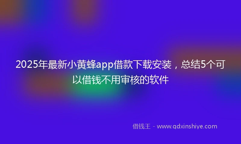 2025年最新小黄蜂app借款下载安装，总结5个可以借钱不用审核的软件