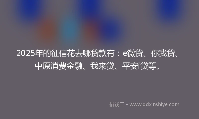2025年的征信花去哪贷款有：e微贷、你我贷、中原消费金融、我来贷、平安i贷等。