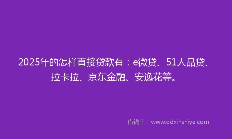 2025年的怎样直接贷款有：e微贷、51人品贷、拉卡拉、京东金融、安逸花等。