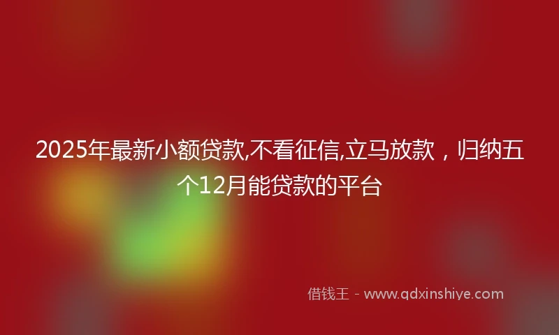 2025年最新小额贷款,不看征信,立马放款，归纳五个12月能贷款的平台