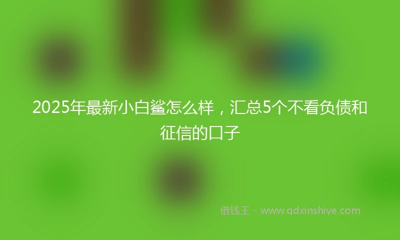 2025年最新小白鲨怎么样，汇总5个不看负债和征信的口子