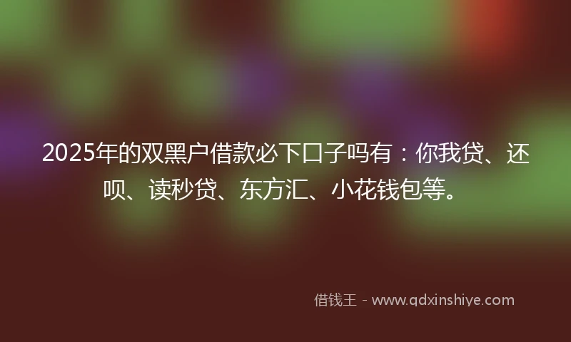 2025年的双黑户借款必下口子吗有：你我贷、还呗、读秒贷、东方汇、小花钱包等。