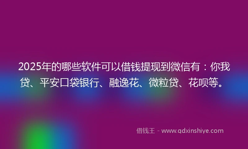 2025年的哪些软件可以借钱提现到微信有：你我贷、平安口袋银行、融逸花、微粒贷、花呗等。