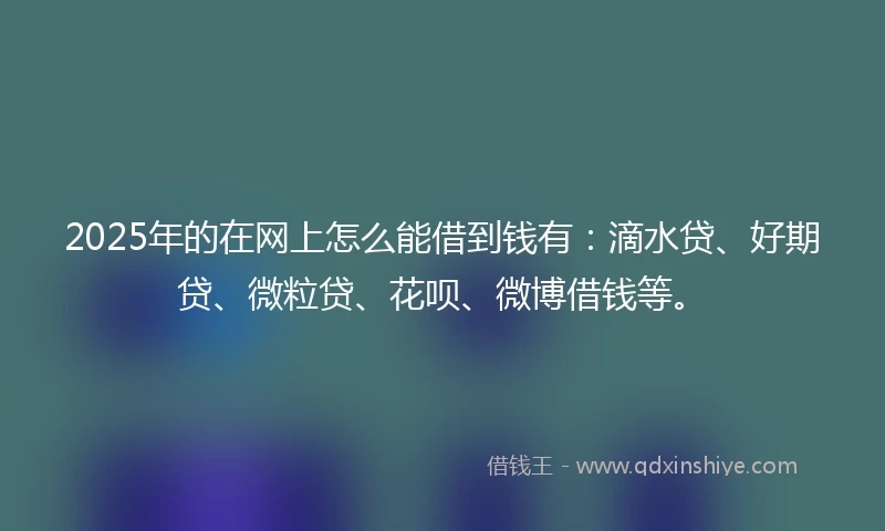 2025年的在网上怎么能借到钱有：滴水贷、好期贷、微粒贷、花呗、微博借钱等。