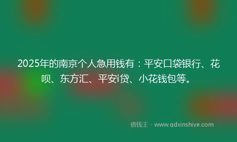 2025年的南京个人急用钱有：平安口袋银行、花呗、东方汇、平安i贷、小花钱包等。