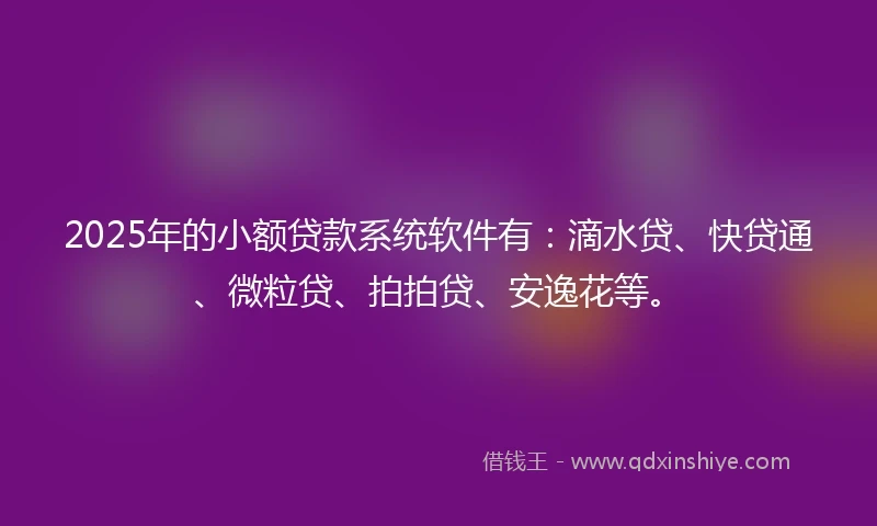 2025年的小额贷款系统软件有：滴水贷、快贷通、微粒贷、拍拍贷、安逸花等。