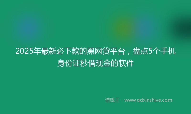 2025年最新必下款的黑网贷平台，盘点5个手机身份证秒借现金的软件