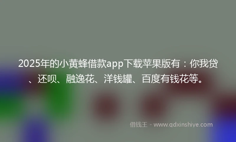 2025年的小黄蜂借款app下载苹果版有：你我贷、还呗、融逸花、洋钱罐、百度有钱花等。