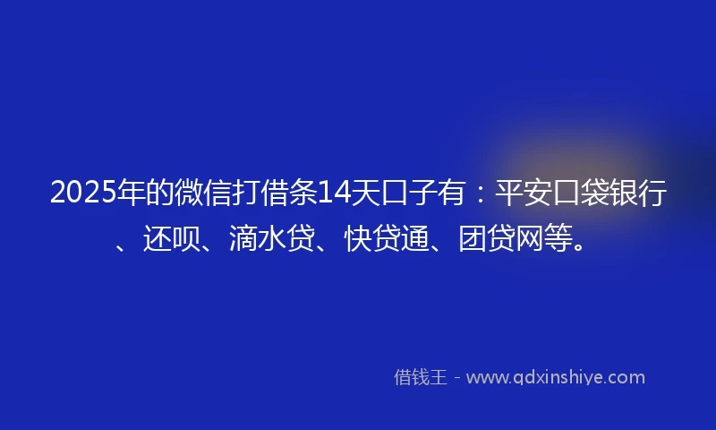 2025年的微信打借条14天口子有：平安口袋银行、还呗、滴水贷、快贷通、团贷网等。