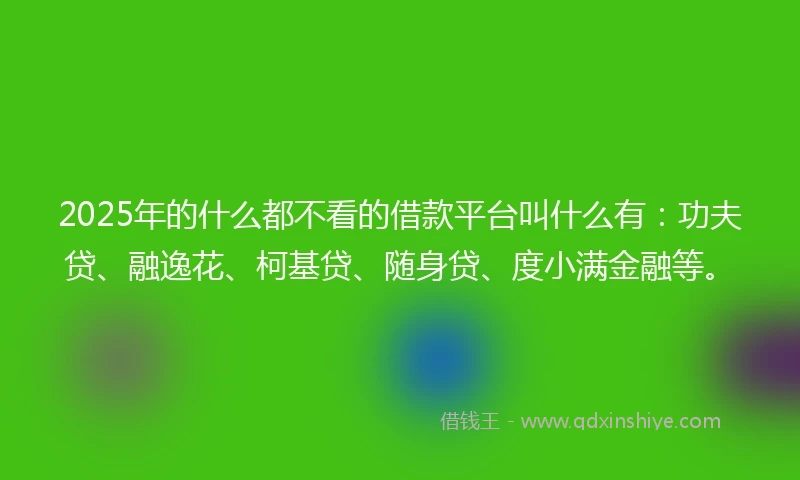 2025年的什么都不看的借款平台叫什么有：功夫贷、融逸花、柯基贷、随身贷、度小满金融等。