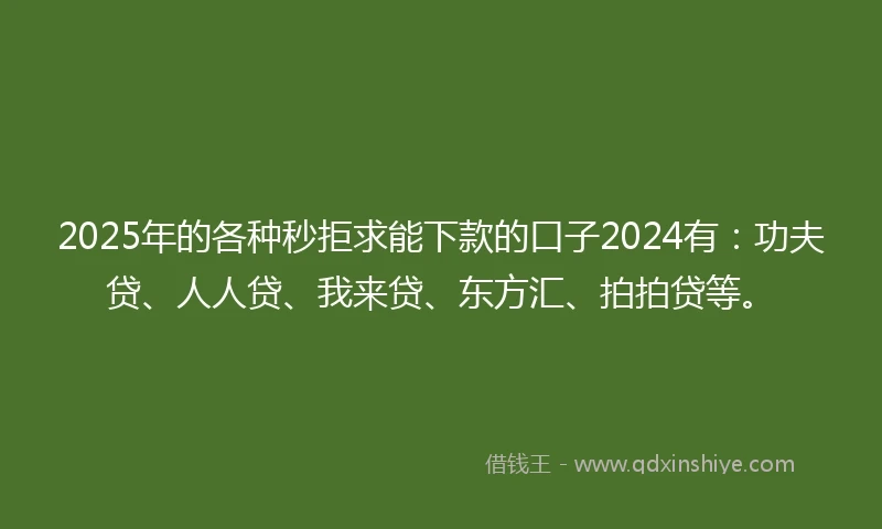 2025年的各种秒拒求能下款的口子2024有：功夫贷、人人贷、我来贷、东方汇、拍拍贷等。