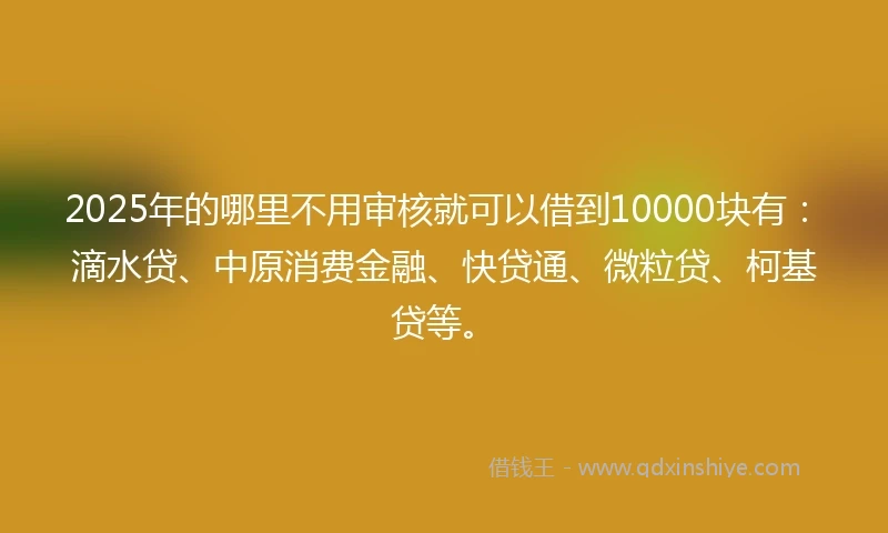 2025年的哪里不用审核就可以借到10000块有：滴水贷、中原消费金融、快贷通、微粒贷、柯基贷等。