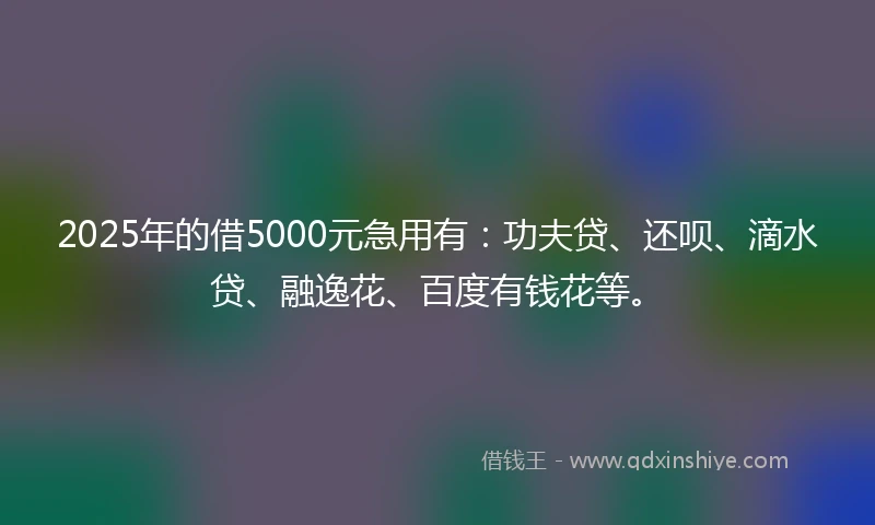 2025年的借5000元急用有：功夫贷、还呗、滴水贷、融逸花、百度有钱花等。