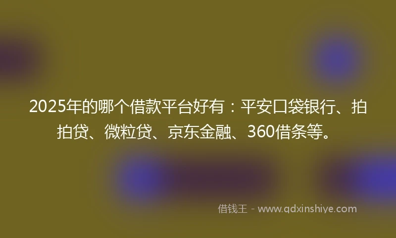 2025年的哪个借款平台好有：平安口袋银行、拍拍贷、微粒贷、京东金融、360借条等。
