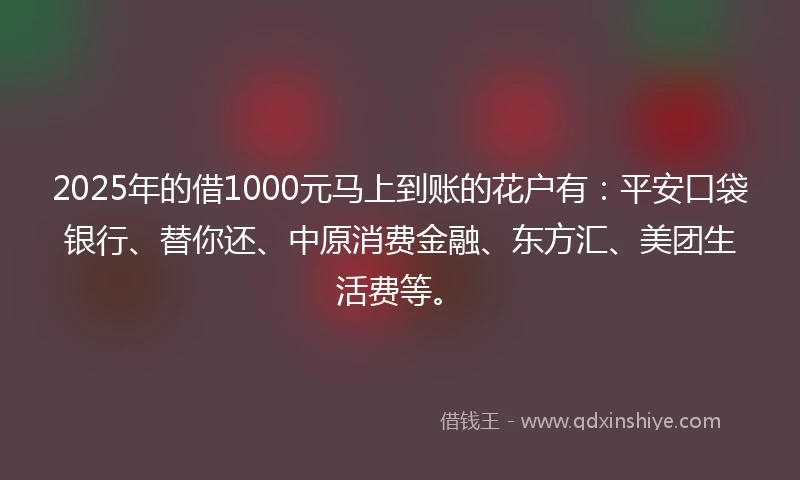 2025年的借1000元马上到账的花户有：平安口袋银行、替你还、中原消费金融、东方汇、美团生活费等。
