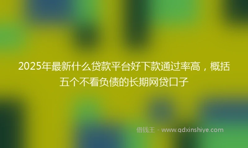 2025年最新什么贷款平台好下款通过率高，概括五个不看负债的长期网贷口子