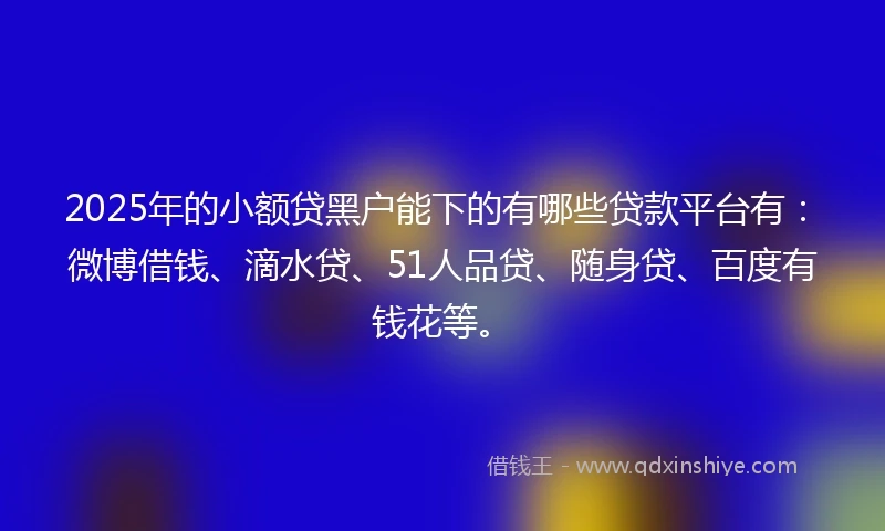 2025年的小额贷黑户能下的有哪些贷款平台有：微博借钱、滴水贷、51人品贷、随身贷、百度有钱花等。