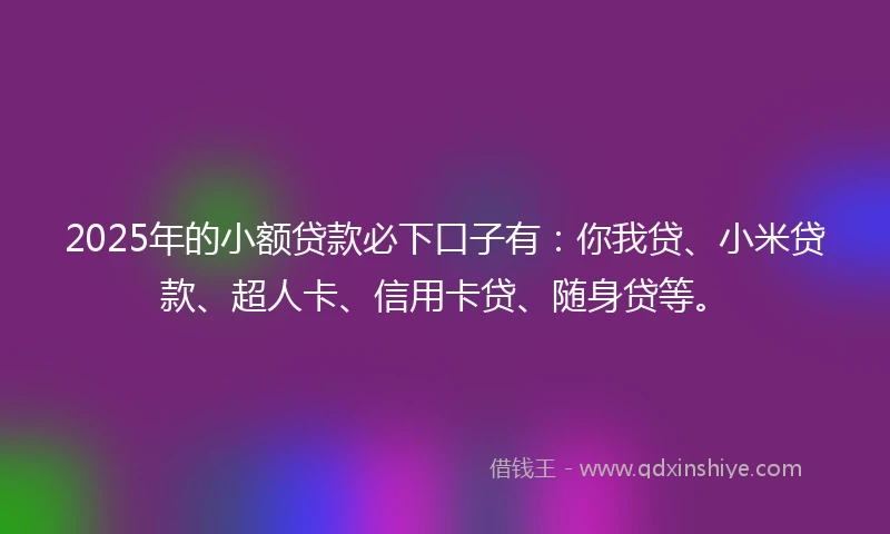 2025年的小额贷款必下口子有：你我贷、小米贷款、超人卡、信用卡贷、随身贷等。