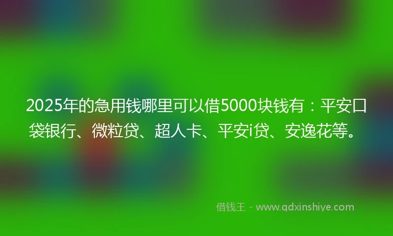 2025年的急用钱哪里可以借5000块钱有：平安口袋银行、微粒贷、超人卡、平安i贷、安逸花等。