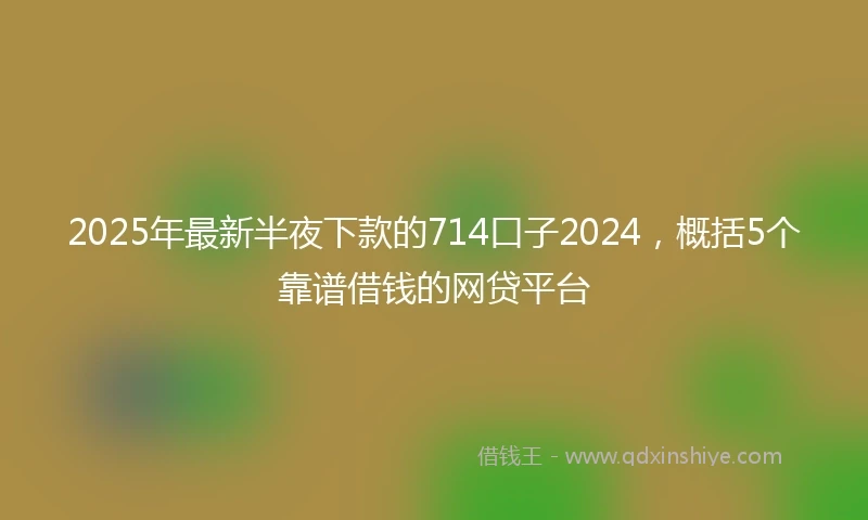2025年最新半夜下款的714口子2024，概括5个靠谱借钱的网贷平台