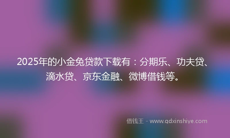 2025年的小金兔贷款下载有：分期乐、功夫贷、滴水贷、京东金融、微博借钱等。