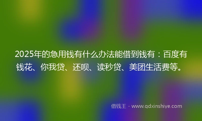 2025年的急用钱有什么办法能借到钱有：百度有钱花、你我贷、还呗、读秒贷、美团生活费等。