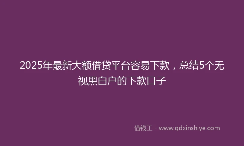 2025年最新大额借贷平台容易下款，总结5个无视黑白户的下款口子