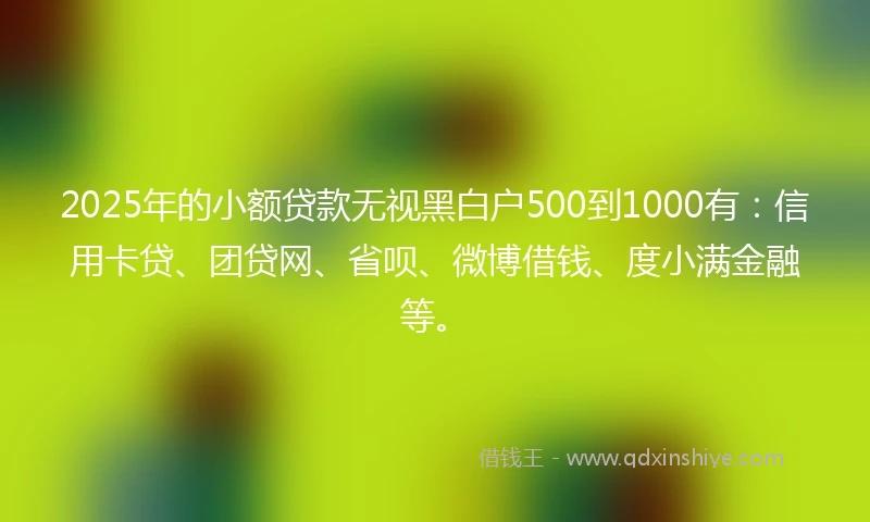 2025年的小额贷款无视黑白户500到1000有：信用卡贷、团贷网、省呗、微博借钱、度小满金融等。