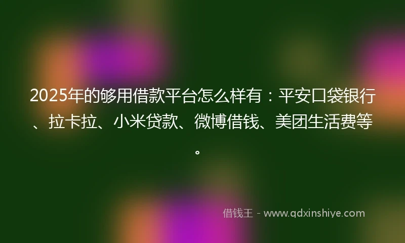 2025年的够用借款平台怎么样有：平安口袋银行、拉卡拉、小米贷款、微博借钱、美团生活费等。
