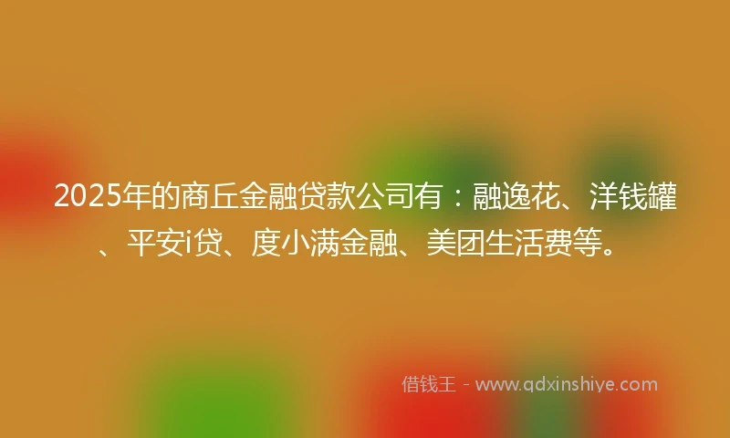 2025年的商丘金融贷款公司有：融逸花、洋钱罐、平安i贷、度小满金融、美团生活费等。