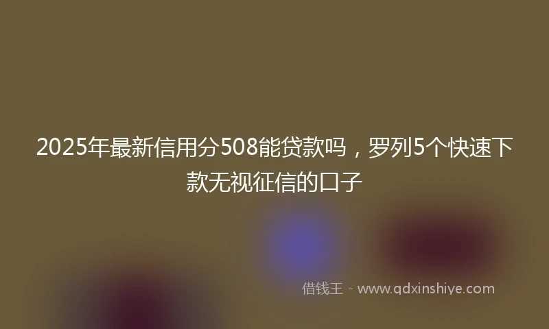 2025年最新信用分508能贷款吗，罗列5个快速下款无视征信的口子