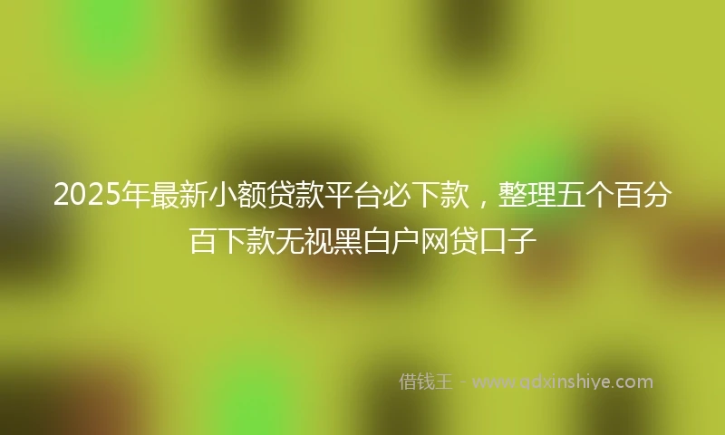 2025年最新小额贷款平台必下款，整理五个百分百下款无视黑白户网贷口子
