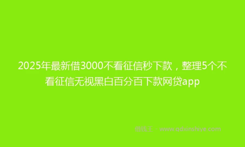 2025年最新借3000不看征信秒下款，整理5个不看征信无视黑白百分百下款网贷app