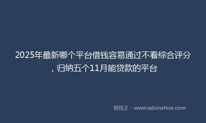 2025年最新哪个平台借钱容易通过不看综合评分，归纳五个11月能贷款的平台