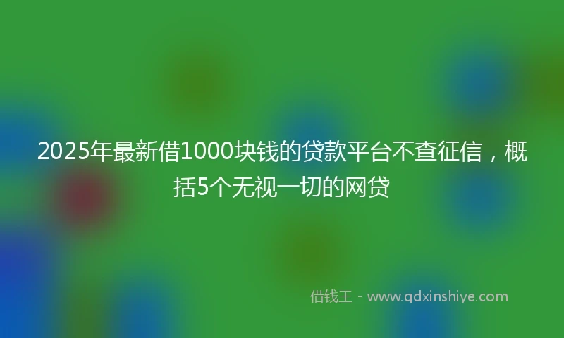 2025年最新借1000块钱的贷款平台不查征信，概括5个无视一切的网贷