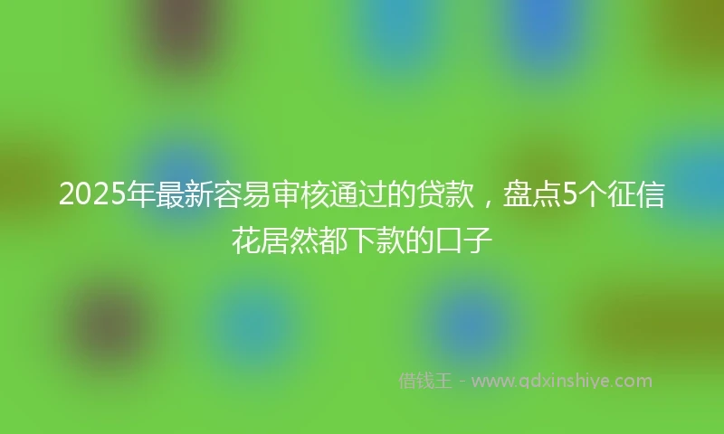 2025年最新容易审核通过的贷款，盘点5个征信花居然都下款的口子