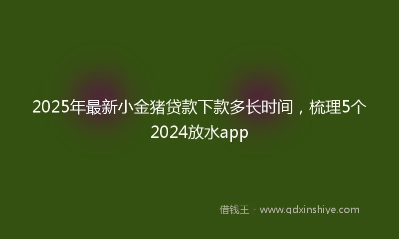 2025年最新小金猪贷款下款多长时间，梳理5个2024放水app