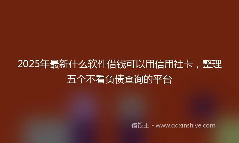 2025年最新什么软件借钱可以用信用社卡，整理五个不看负债查询的平台