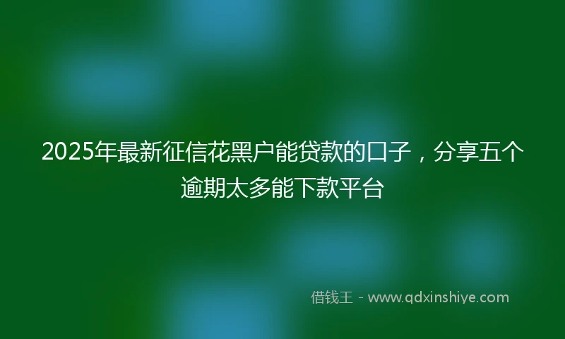 2025年最新征信花黑户能贷款的口子，分享五个逾期太多能下款平台