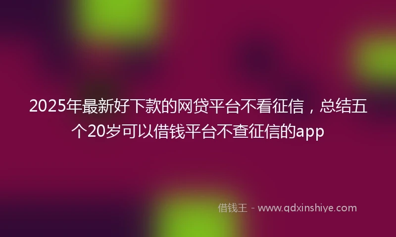 2025年最新好下款的网贷平台不看征信，总结五个20岁可以借钱平台不查征信的app