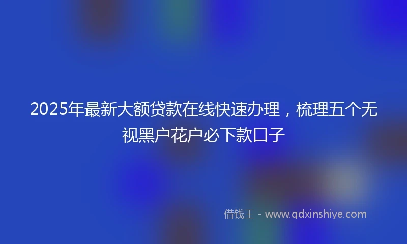 2025年最新大额贷款在线快速办理，梳理五个无视黑户花户必下款口子