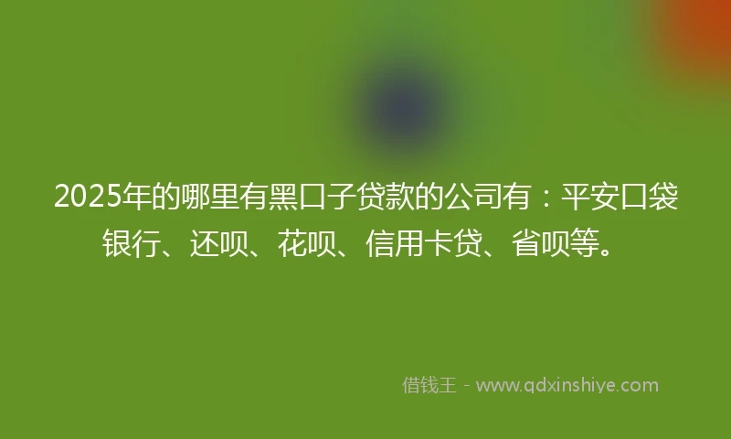 2025年的哪里有黑口子贷款的公司有：平安口袋银行、还呗、花呗、信用卡贷、省呗等。